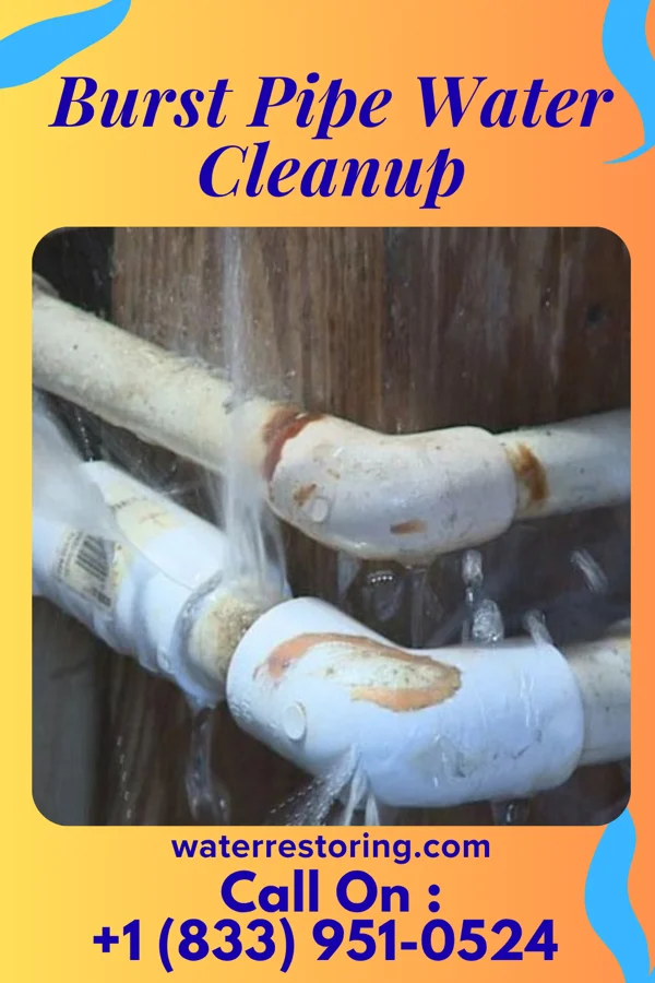Burst Pipe Water Cleanup in Cuylerville, NY