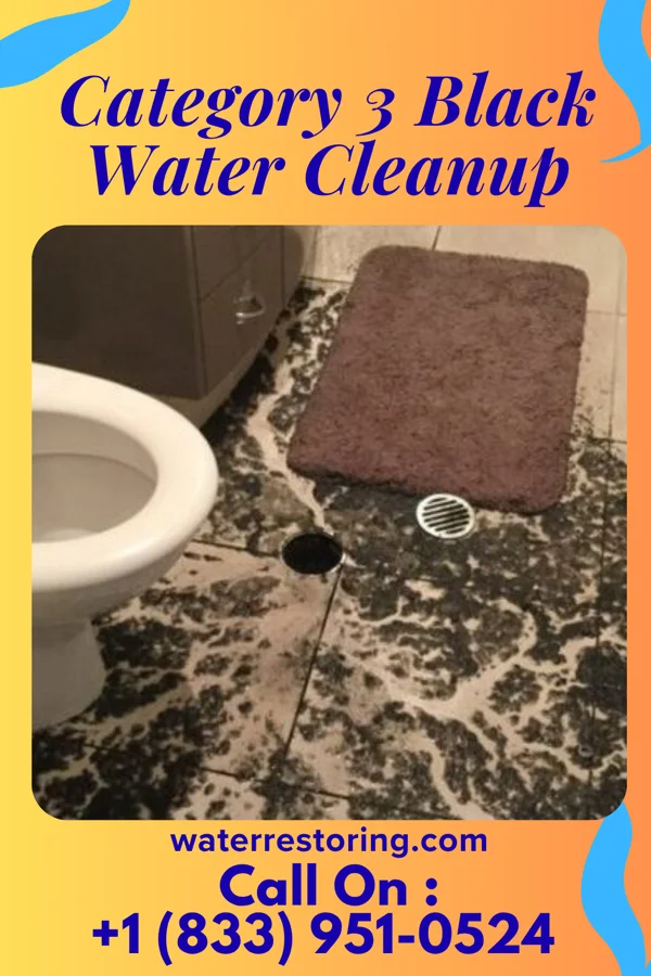 Category 3 Black Water Cleanup in Cuylerville, NY