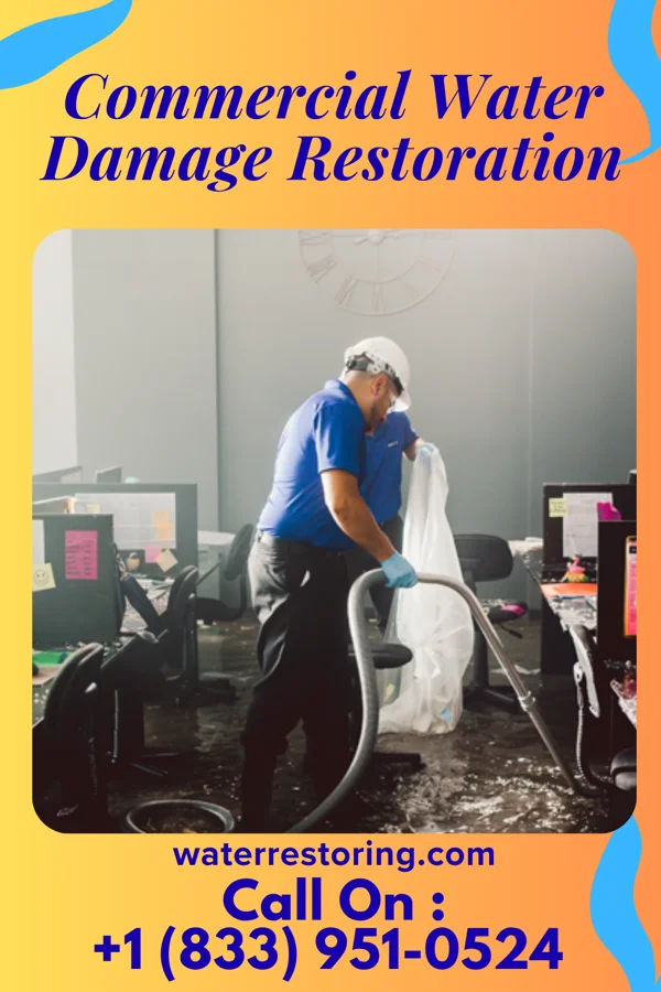 Commercial Water Damage Restoration in Cuylerville, NY