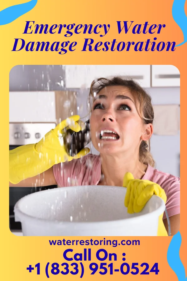 Emergency Water Damage Restoration in Cuylerville, NY