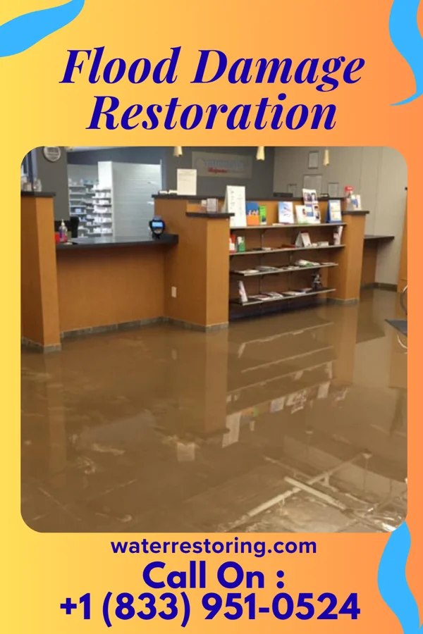 Flood Damage Restoration in Cuylerville, NY