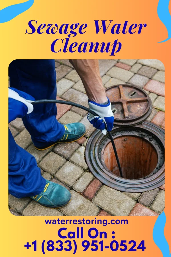 Sewage Water Cleanup in Cuylerville, NY