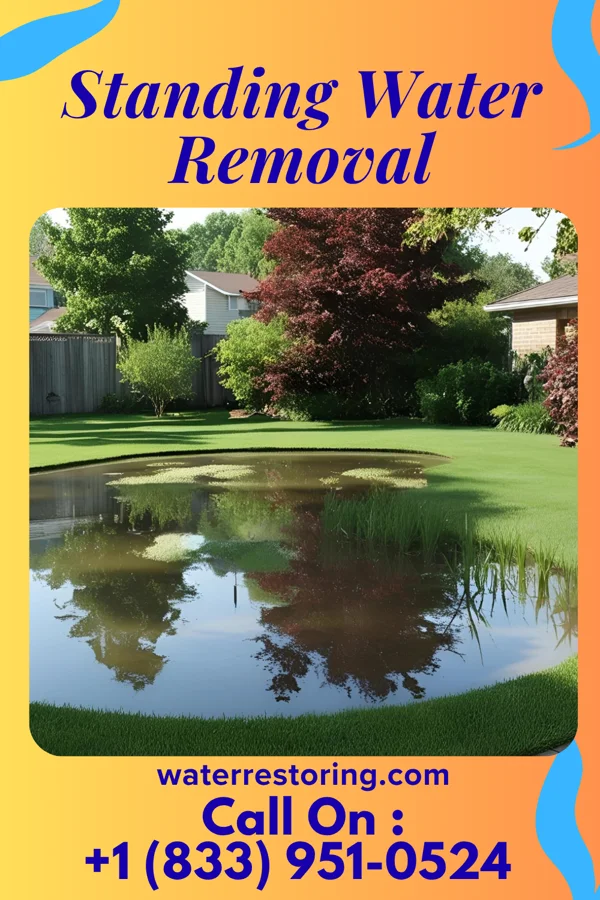 Standing Water Removal in Cuylerville, NY
